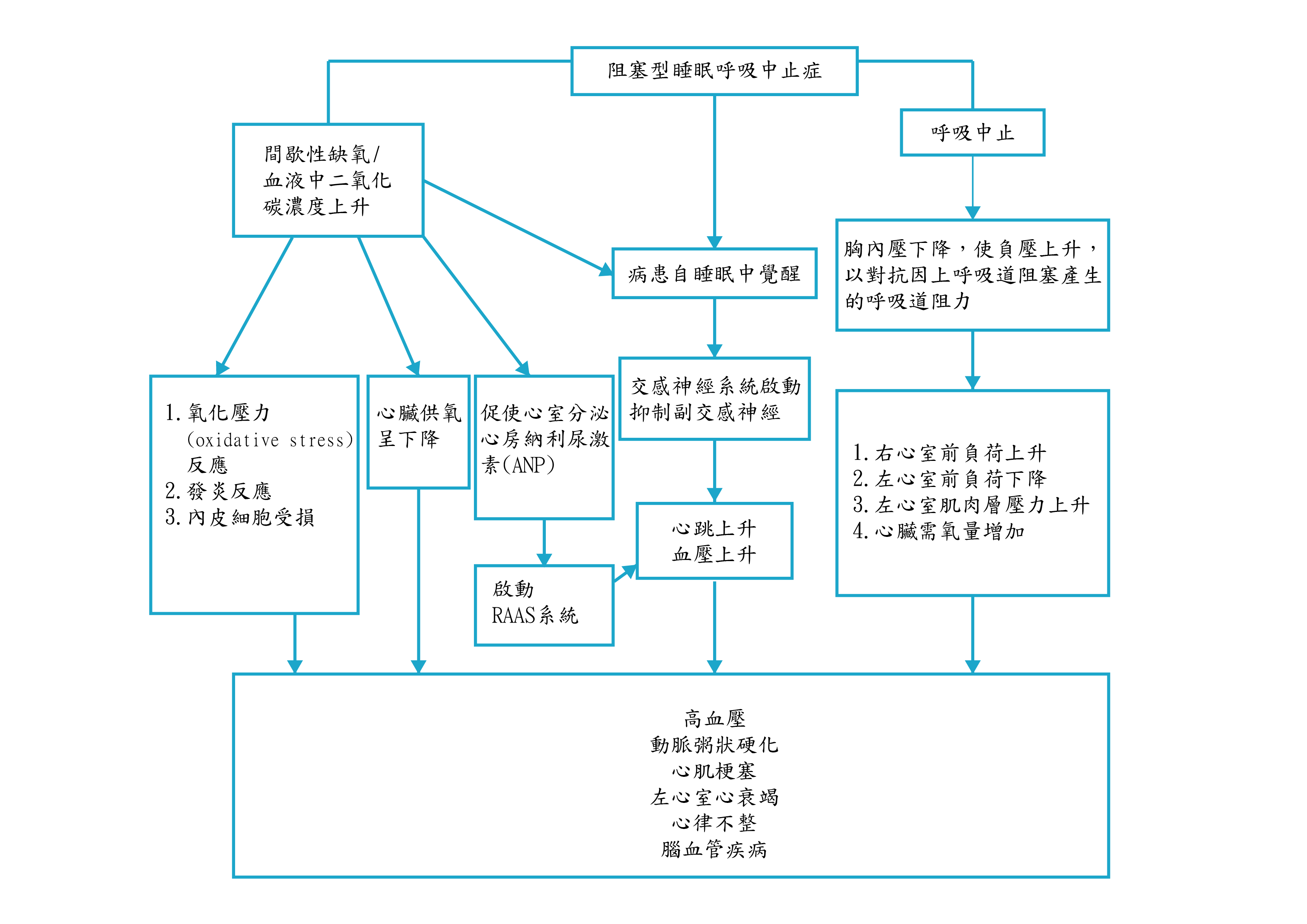 阻塞型睡眠呼吸中止症 - 造成心血管疾病的可能機轉
